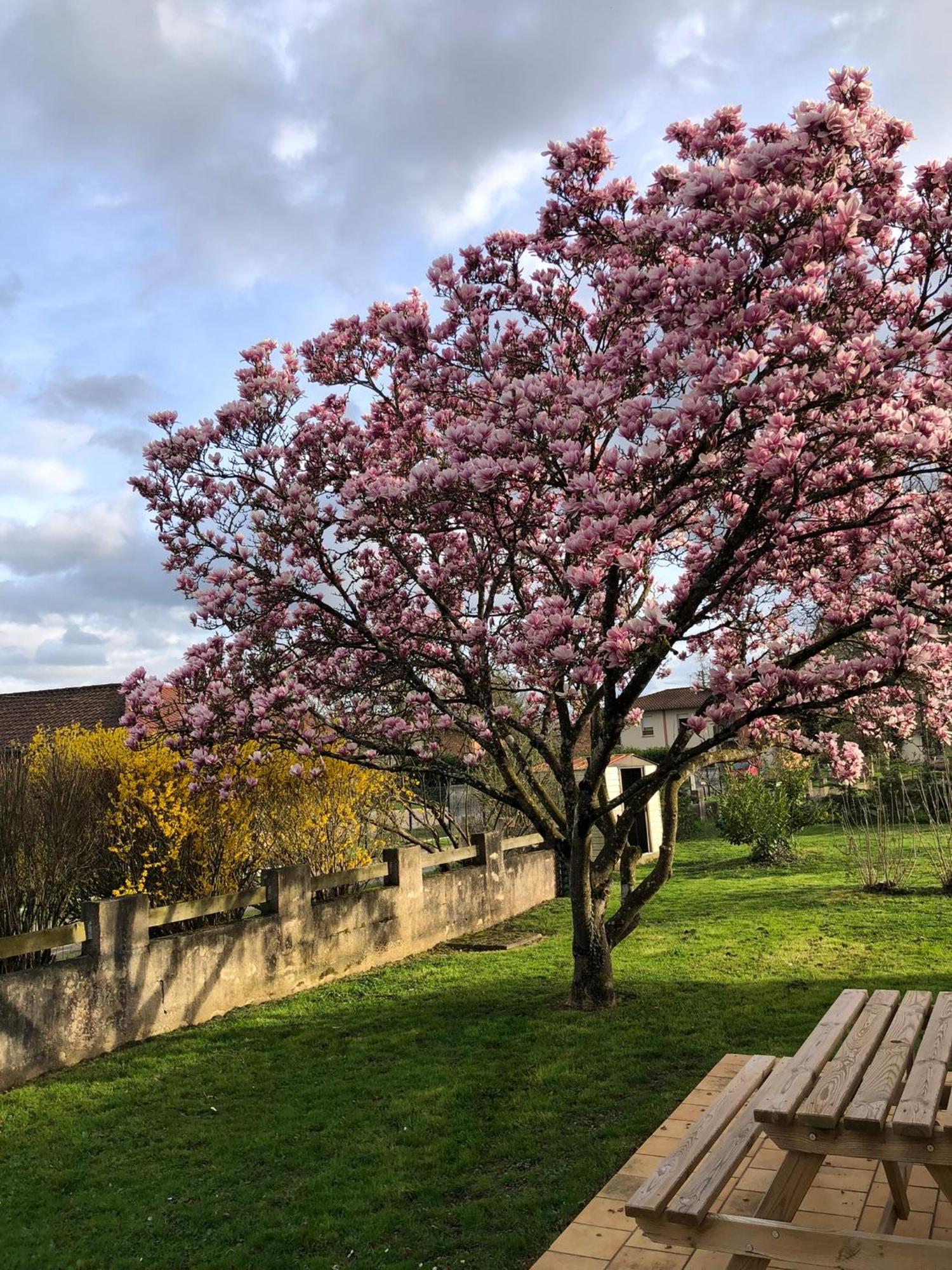 مبيت وإفطار Saint-Étienne-sur-Reyssouze Parc De La Charmille المظهر الخارجي الصورة